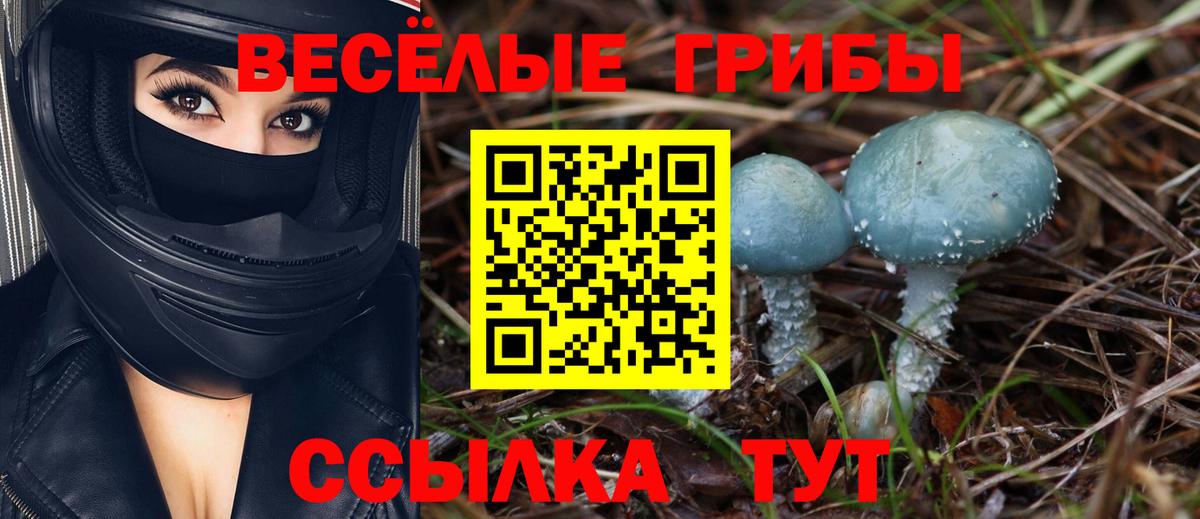 наркотики  Галлюциногенные грибы Psilocybe  Вход с VPN  Арсеньев  Псилоцибиновые грибы ЛСД 